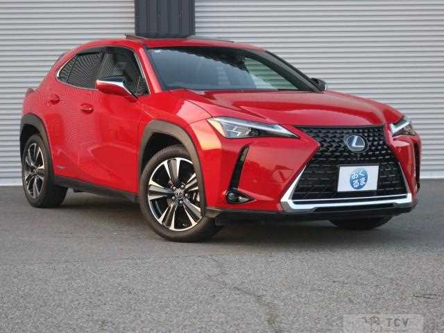2020 Lexus Other