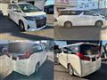 2018 Toyota Alphard G