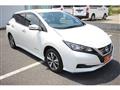 2019 Nissan Leaf