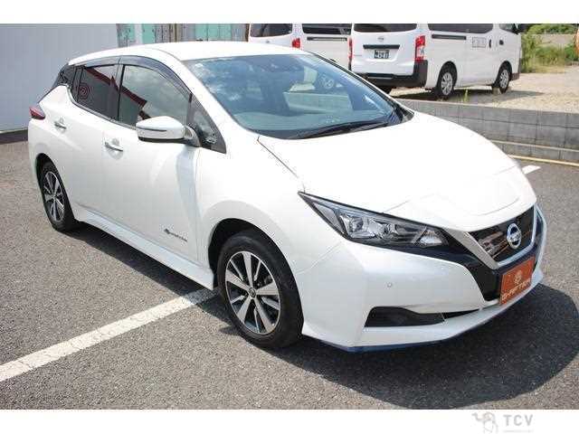 2019 Nissan Leaf