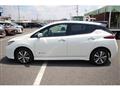 2019 Nissan Leaf
