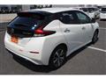 2019 Nissan Leaf