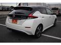 2019 Nissan Leaf