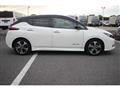 2019 Nissan Leaf