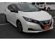 2019 Nissan Leaf