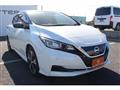 2018 Nissan Leaf
