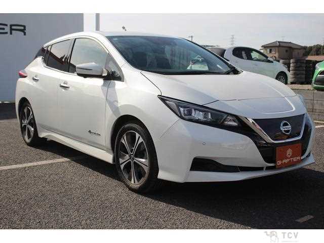 2020 Nissan Leaf