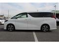 2020 Toyota Alphard G