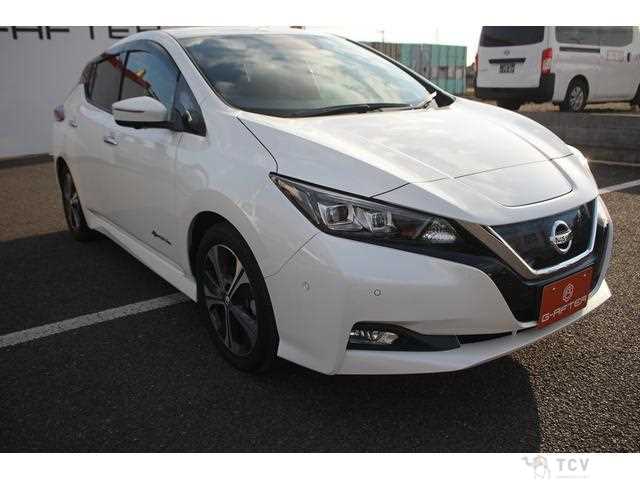 2019 Nissan Leaf