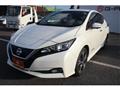 2019 Nissan Leaf