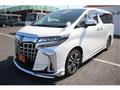 2019 Toyota Alphard G