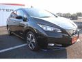 2021 Nissan Leaf