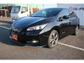 2021 Nissan Leaf