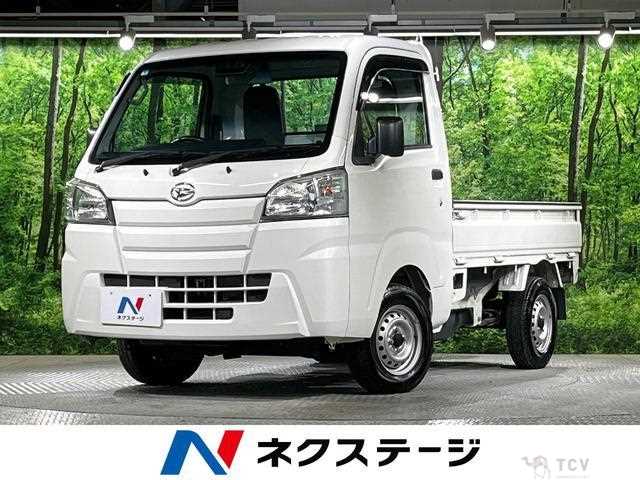 2018 Daihatsu Hijet Truck