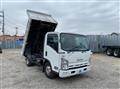 2012 Isuzu Elf Truck
