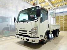 2017 Isuzu Elf Truck