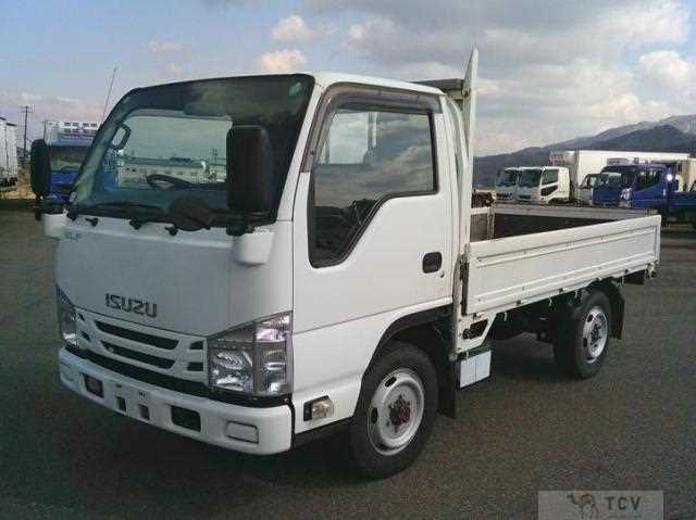 2017 Isuzu Elf Truck