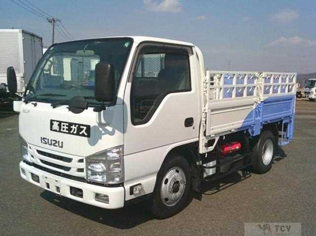 2018 Isuzu Elf Truck