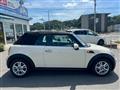 2010 BMW MINI