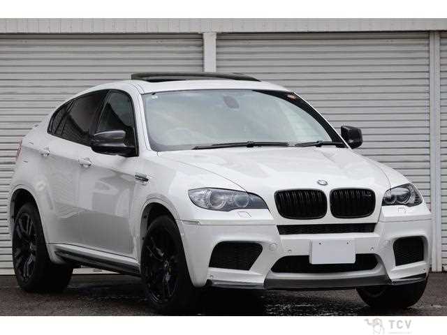 2010 BMW X6