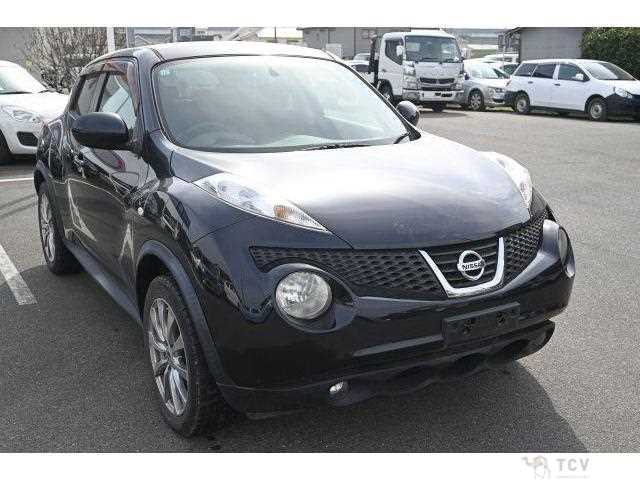 2011 Nissan Juke