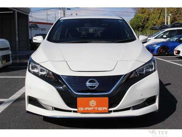 2020 Nissan Leaf