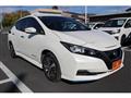 2020 Nissan Leaf