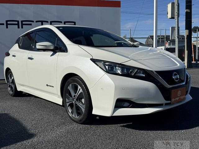 2020 Nissan Leaf