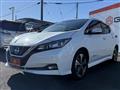 2020 Nissan Leaf