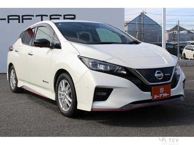 2019 Nissan Leaf