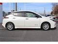 2019 Nissan Leaf