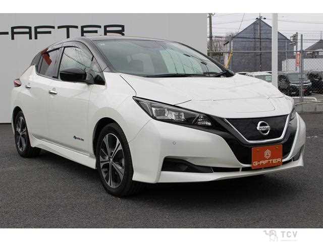 2018 Nissan Leaf