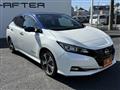 2021 Nissan Leaf