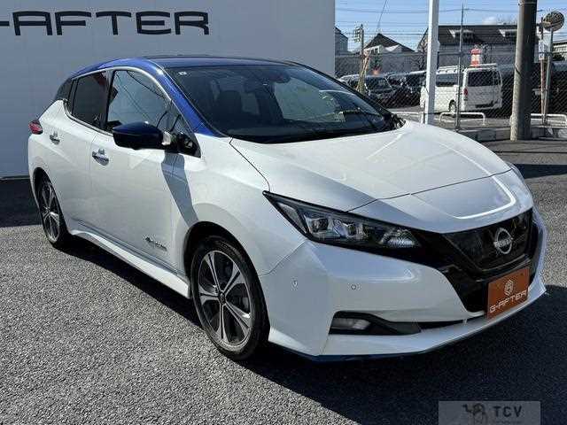 2021 Nissan Leaf