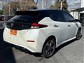 2021 Nissan Leaf