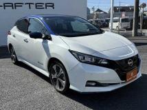 2021 Nissan Leaf