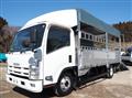 2013 Isuzu Elf Truck