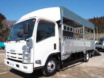 2013 Isuzu Elf Truck