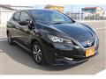 2020 Nissan Leaf