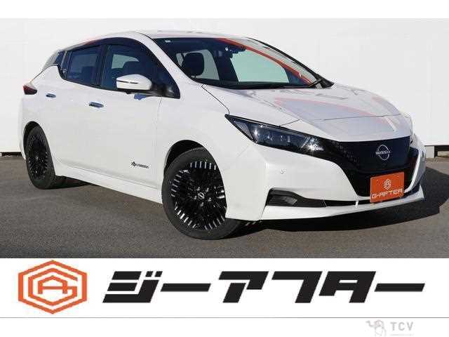 2024 Nissan Leaf