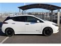 2024 Nissan Leaf