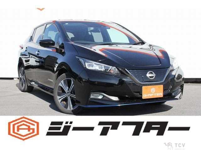 2021 Nissan Leaf