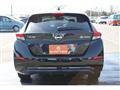 2021 Nissan Leaf