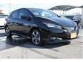 2021 Nissan Leaf