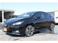 2021 Nissan Leaf