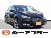 2021 Nissan Leaf