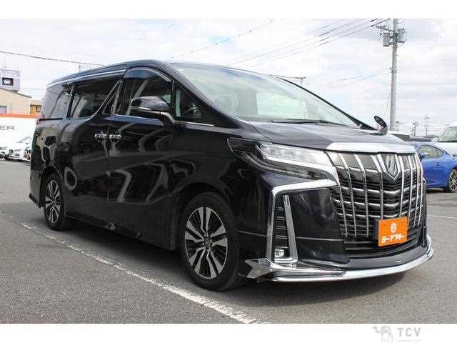 2020 Toyota Alphard G