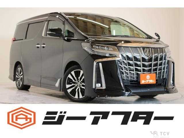 2019 Toyota Alphard G