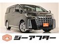 2019 Toyota Alphard G