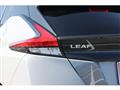 2021 Nissan Leaf